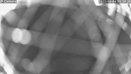 2025-10-04