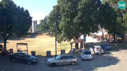 2026-08-10