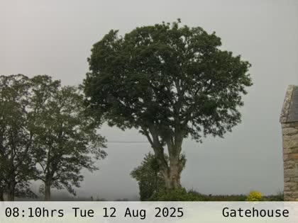 2025-08-12