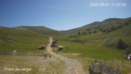 2025-06-01