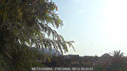 2025-08-12