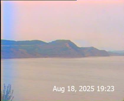 2025-08-19