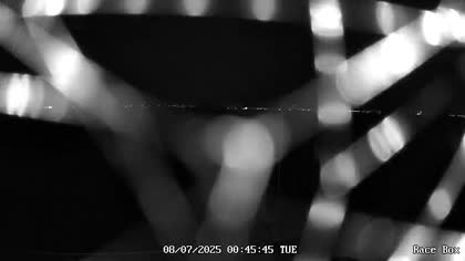 2025-07-08