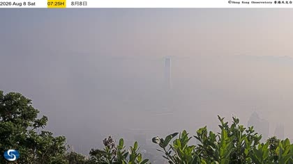2026-08-08