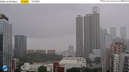 2026-07-29