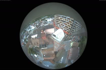 2025-08-20