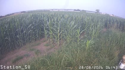 2026-08-28