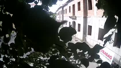 2025-06-05
