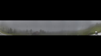 2026-06-15