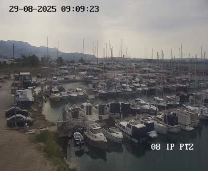 2025-08-29