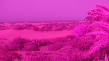 2026-07-31
