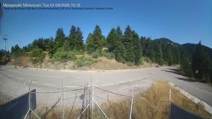 2026-09-01
