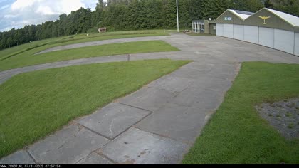 2025-07-31