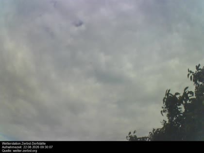 2026-08-22