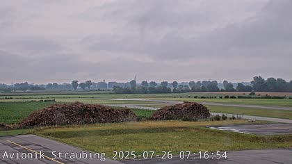 2025-07-26