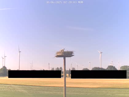 2025-06-30