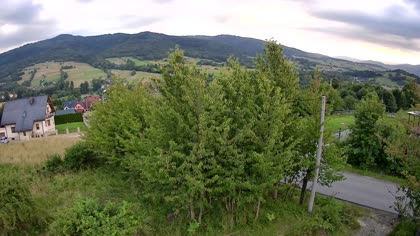 2026-07-13