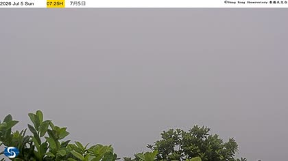 2026-07-05