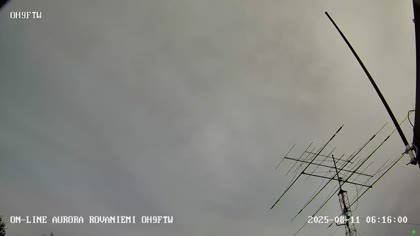 2025-08-11