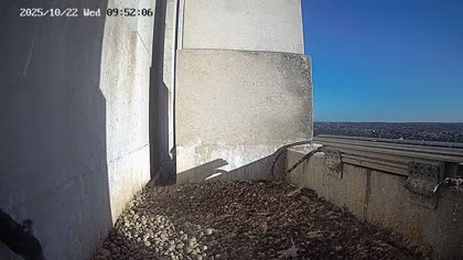 2025-10-22
