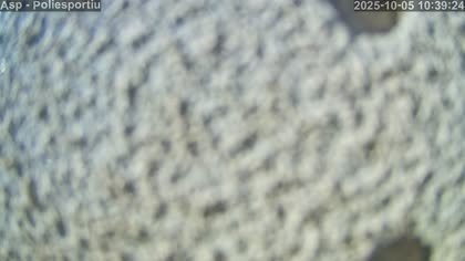 2025-10-05