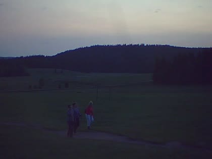 2025-06-03