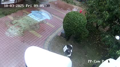 2025-10-04