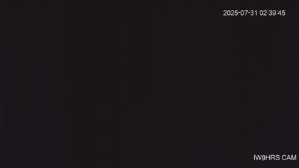 2025-07-31