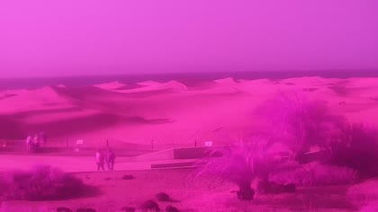 2026-07-20