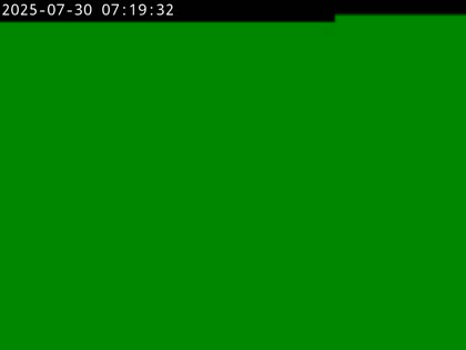 2025-07-30