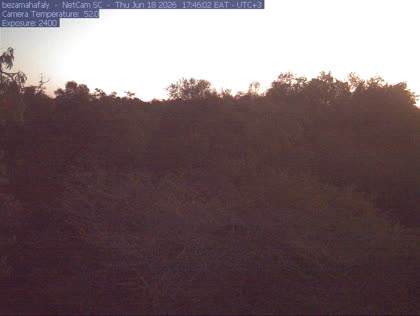2026-06-19