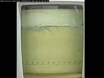 2025-08-26