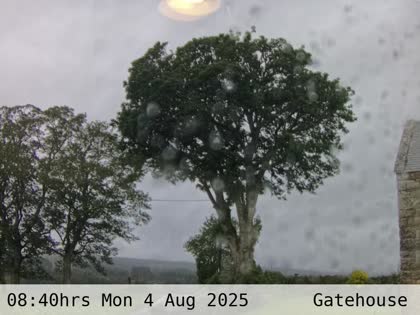 2025-08-04
