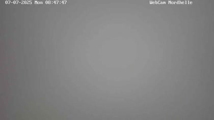 2025-07-07