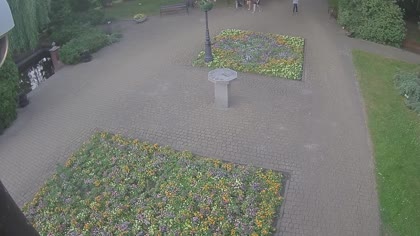 2026-06-08