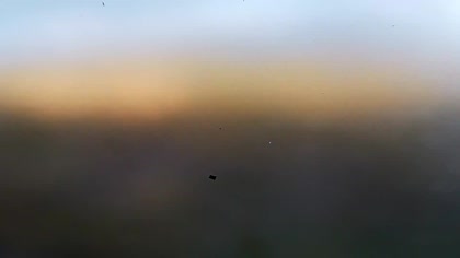 2026-10-11
