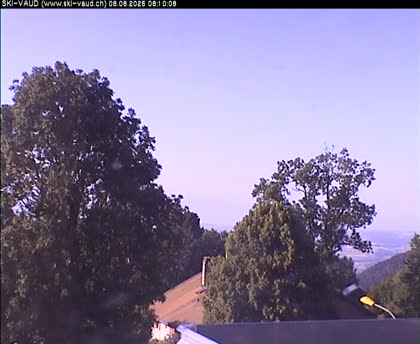 2025-08-08