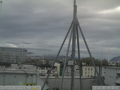 2025-08-03