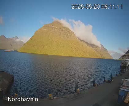 2025-05-20