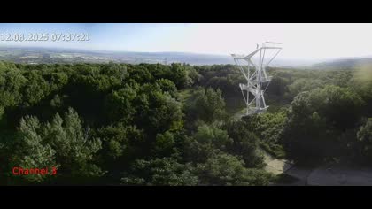 2025-08-12