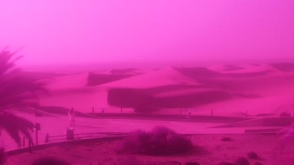 2026-09-15