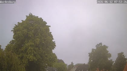 2026-06-12