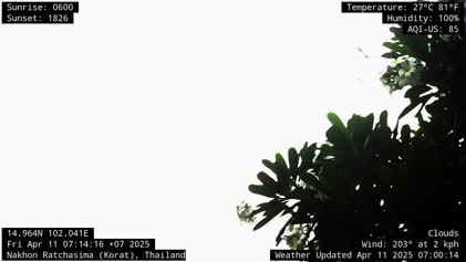 2025-04-11