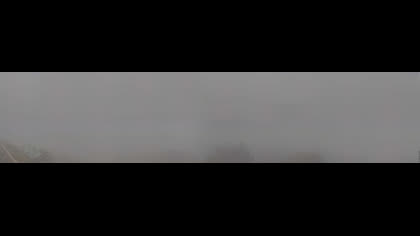 2026-06-11
