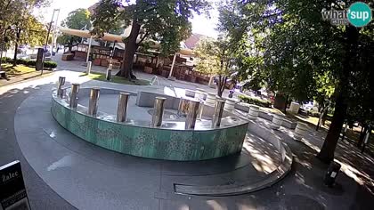 2025-09-05