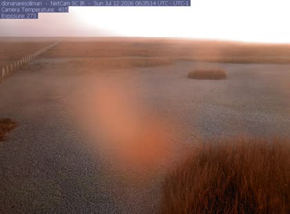 2026-07-12