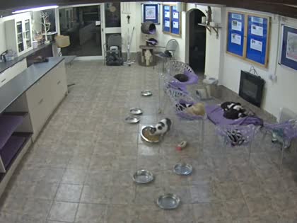 2025-09-10