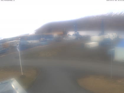 2025-05-01