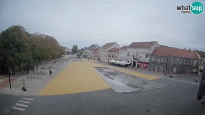 2026-10-10