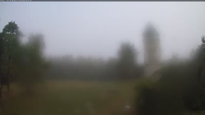 2025-09-01